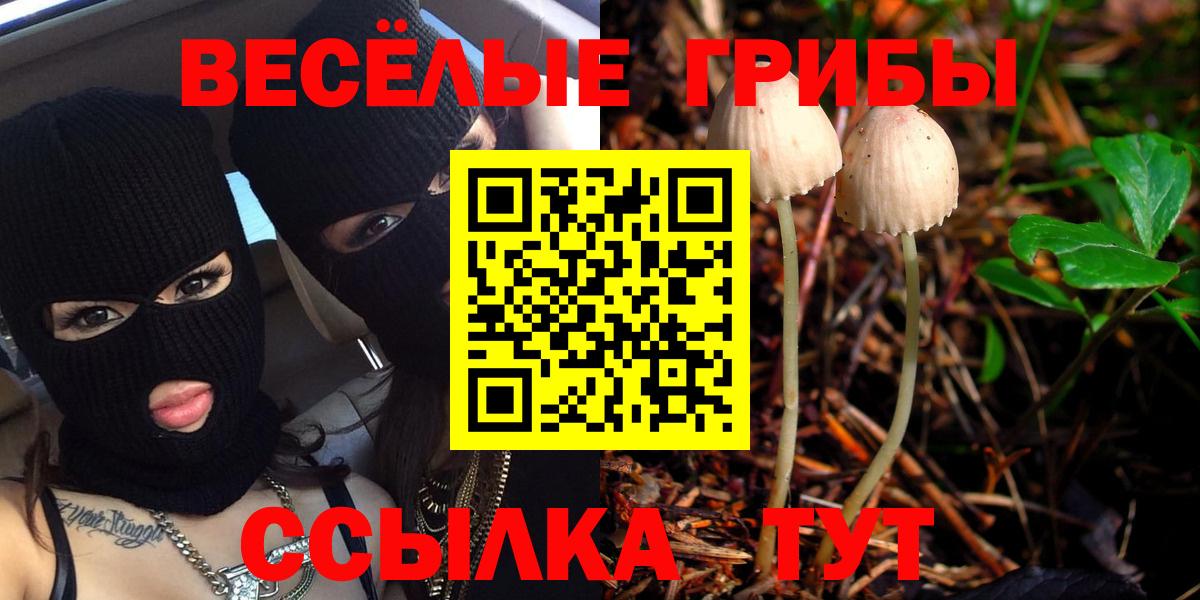 Псилоцибиновые грибы MAGIC MUSHROOMS Кизляр