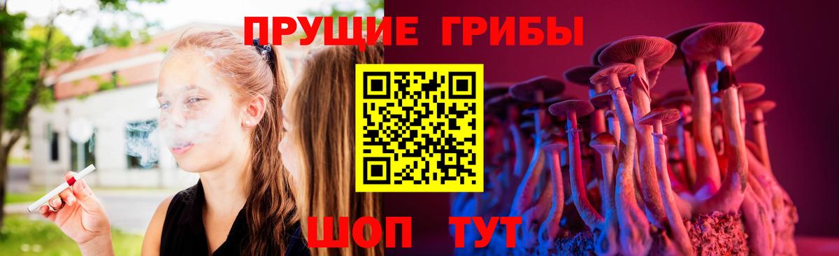 Галлюциногенные грибы Cubensis  где купить наркоту  Кизляр  Вход с VPN 